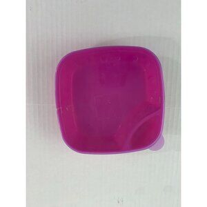 Divided Plate Pink Purple Hard Plastic with Lid